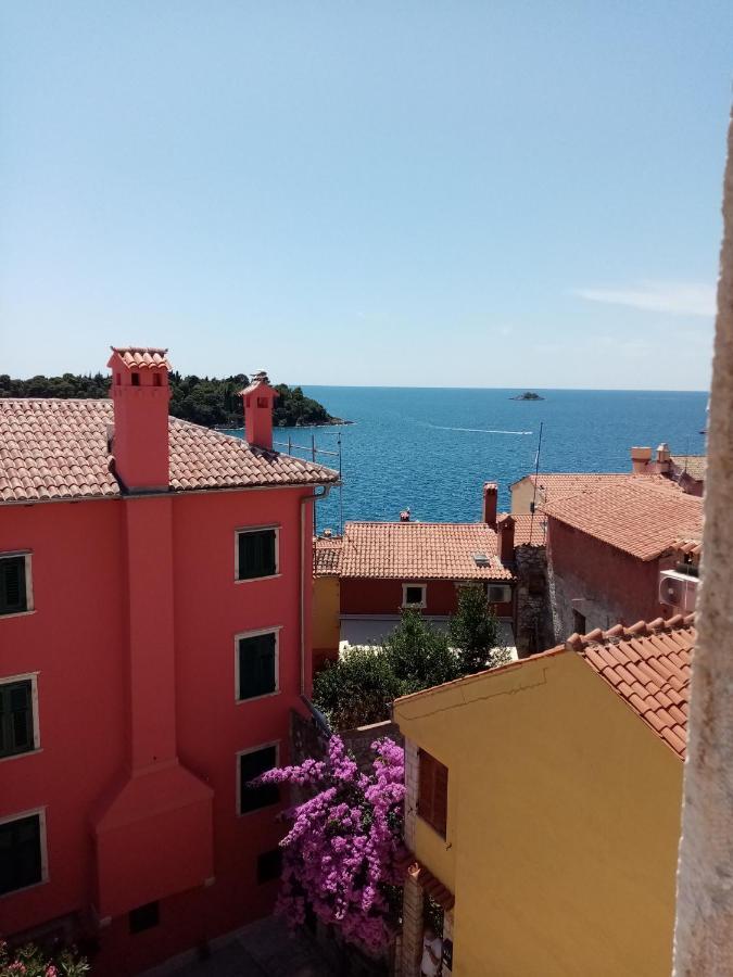 Casa Di Marko 105 M2 Garden Appartement Rovinj Buitenkant foto