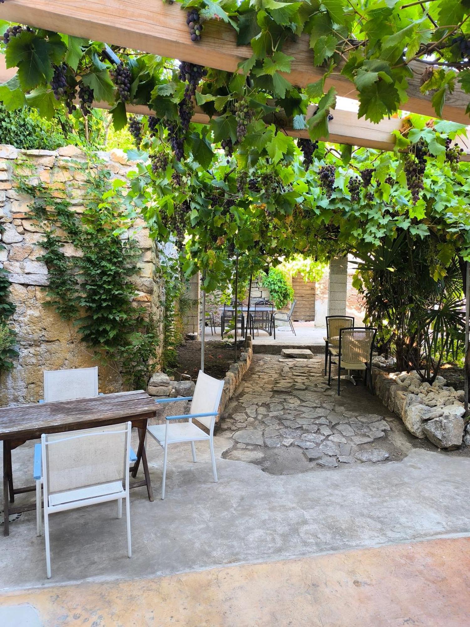 Casa Di Marko 105 M2 Garden Appartement Rovinj Buitenkant foto